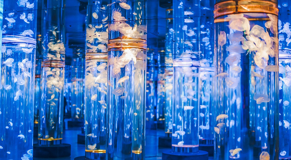 张家港梦幻海洋王国