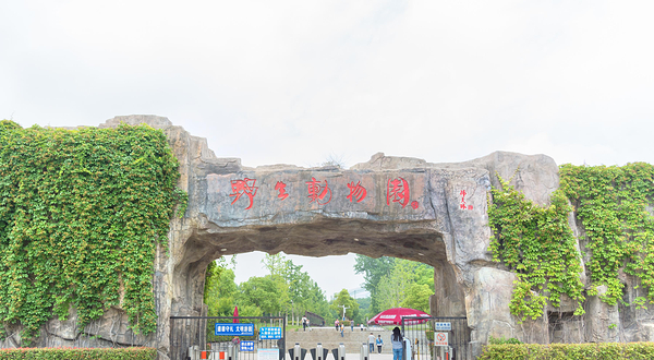 合肥野生动物园