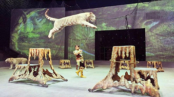 《欢乐马戏》演出