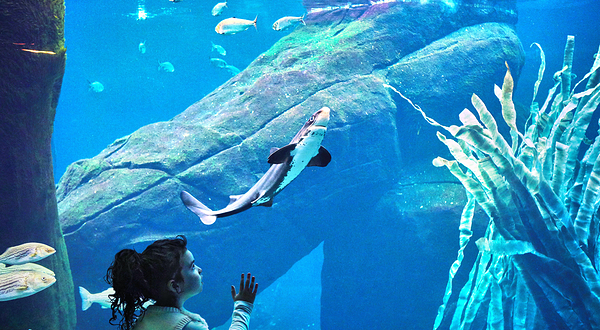 蒙特利尔自然生态博物馆