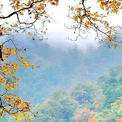 东拉山大峡谷