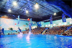 荆州小梅沙海洋馆