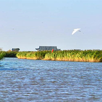 东方华地城湿地风景区