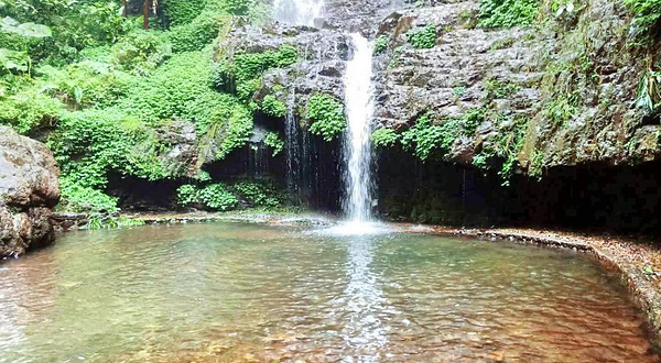 大桂山国家森林公园