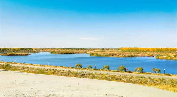 金沙滩国家沙漠公园