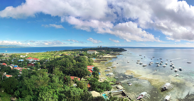 麦克坦