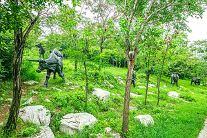 原山国家森林公园