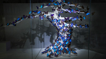 世界昆虫博物园