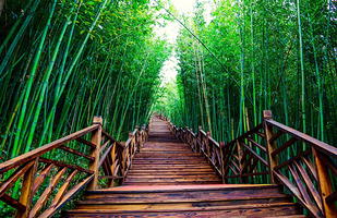 百里竹海景区-观音洞