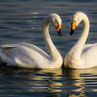 邯郸佛山野生动物园