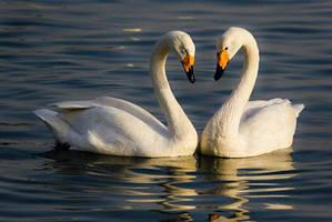 邯郸佛山野生动物园