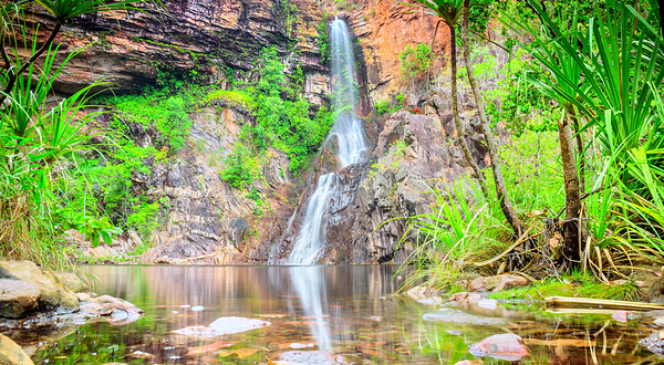 李治菲特国家公园