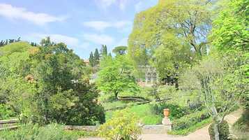 蒙彼利埃植物园