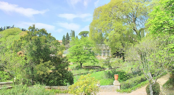 蒙彼利埃植物园