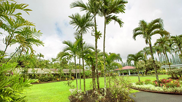 夏威夷热带植物园