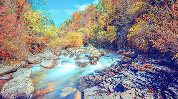 望天鹅旅游风景区