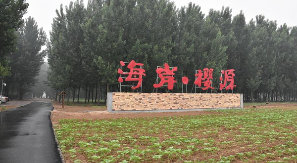 海岸樱源