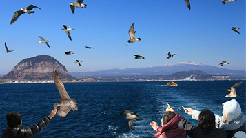 山房山爱的游轮体验