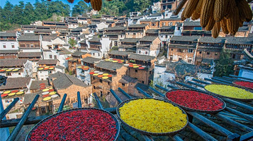 晒秋人家观景台