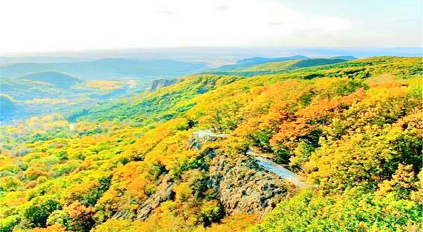 壹台山骆驼峰景区