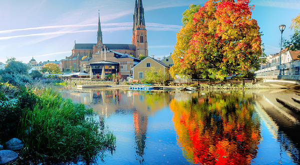 乌普萨拉主教座堂