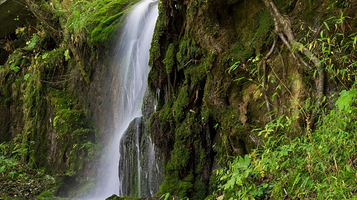 神农架神农顶风景区-小龙潭野考站