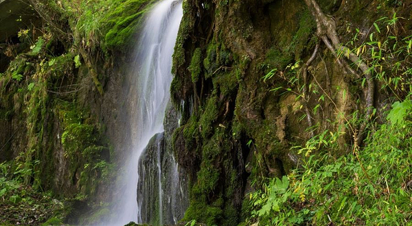 神农架神农顶风景区-小龙潭野考站