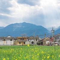喜洲