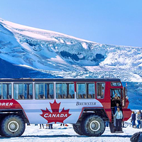 加拿大冰原雪车