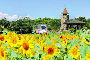 淡路农场英格兰之丘