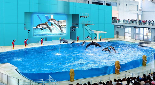 横滨八景岛海岛乐园