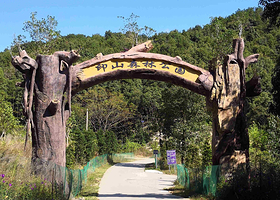 印山国家森林康养基地