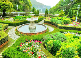 静冈赤尾香草与玫瑰园