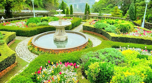 静冈赤尾香草与玫瑰园