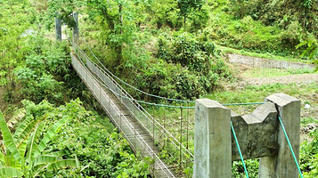 望天树-空中走廊