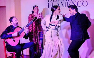 弗拉明戈艺术之家