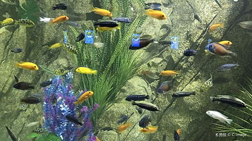 天誉欢乐海底世界