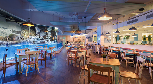 雅加达多媒体水族馆