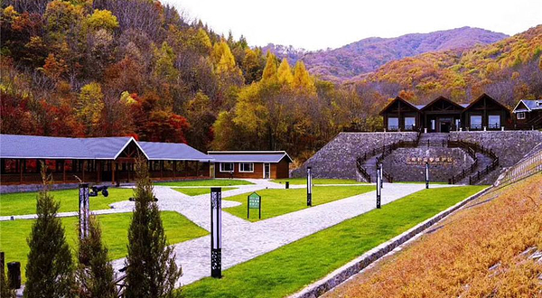 云岭野山参风景区