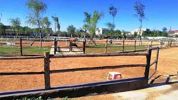 揽翠湖马术俱乐部