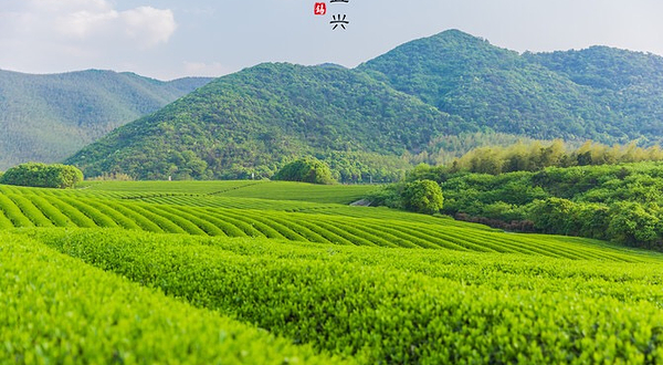 龙池山自行车公园