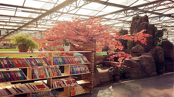 新乡四季亲子乐园