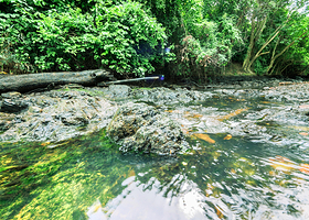 岗卡章国家公园