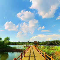 山西孝河湿地公园