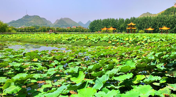 招堤风景区