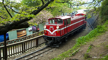 阿里山国家森林游乐区