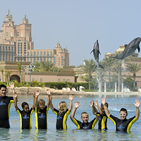 迪拜亚特兰蒂斯海豚湾