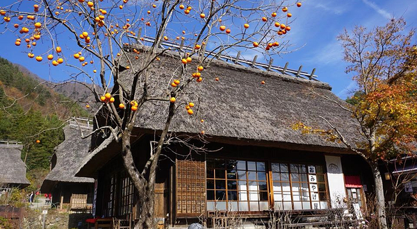 富士西湖合掌村落