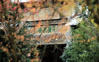 明月山花海原居樱花山谷