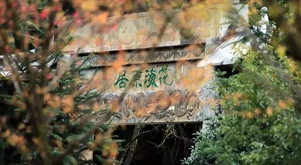 明月山花海原居樱花山谷